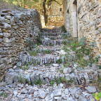 Chastelas